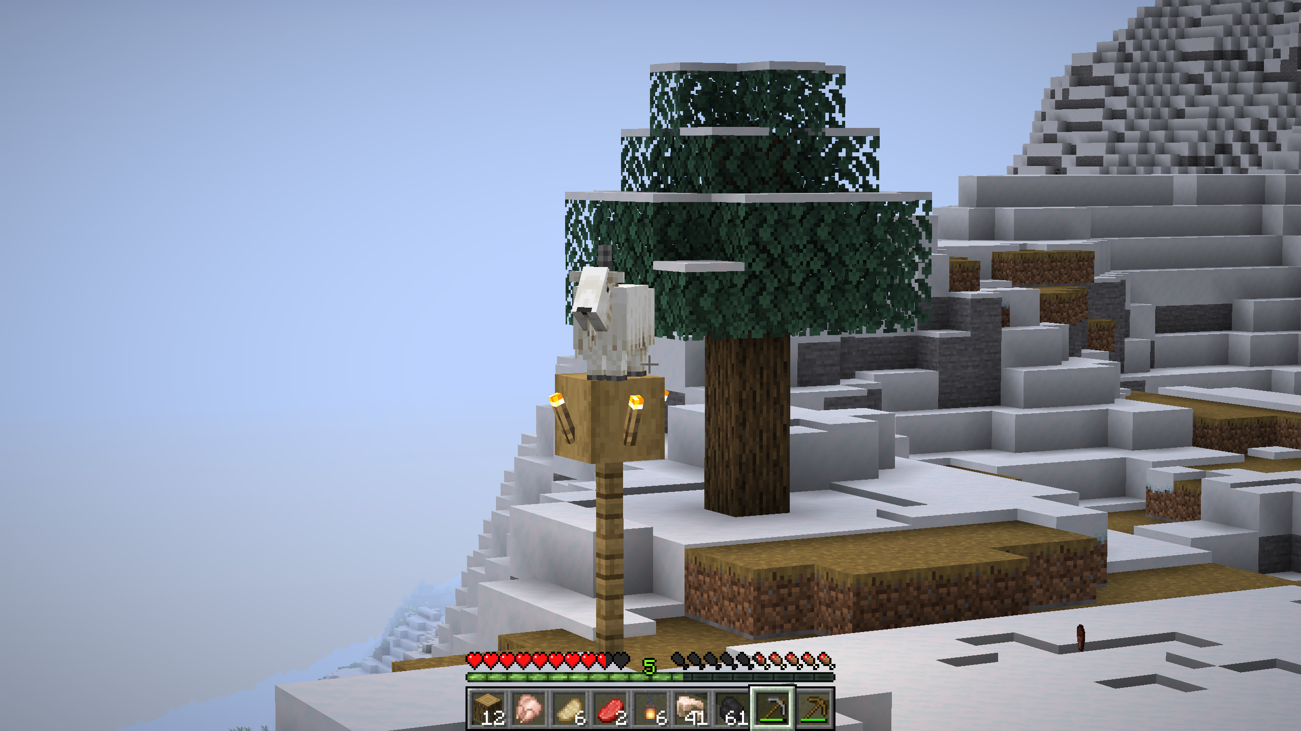 Photo du serveur