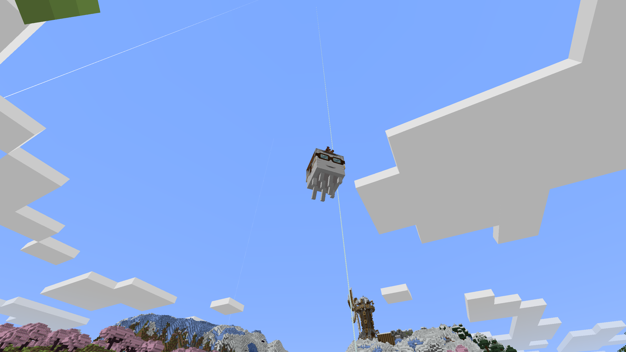 Photo du serveur