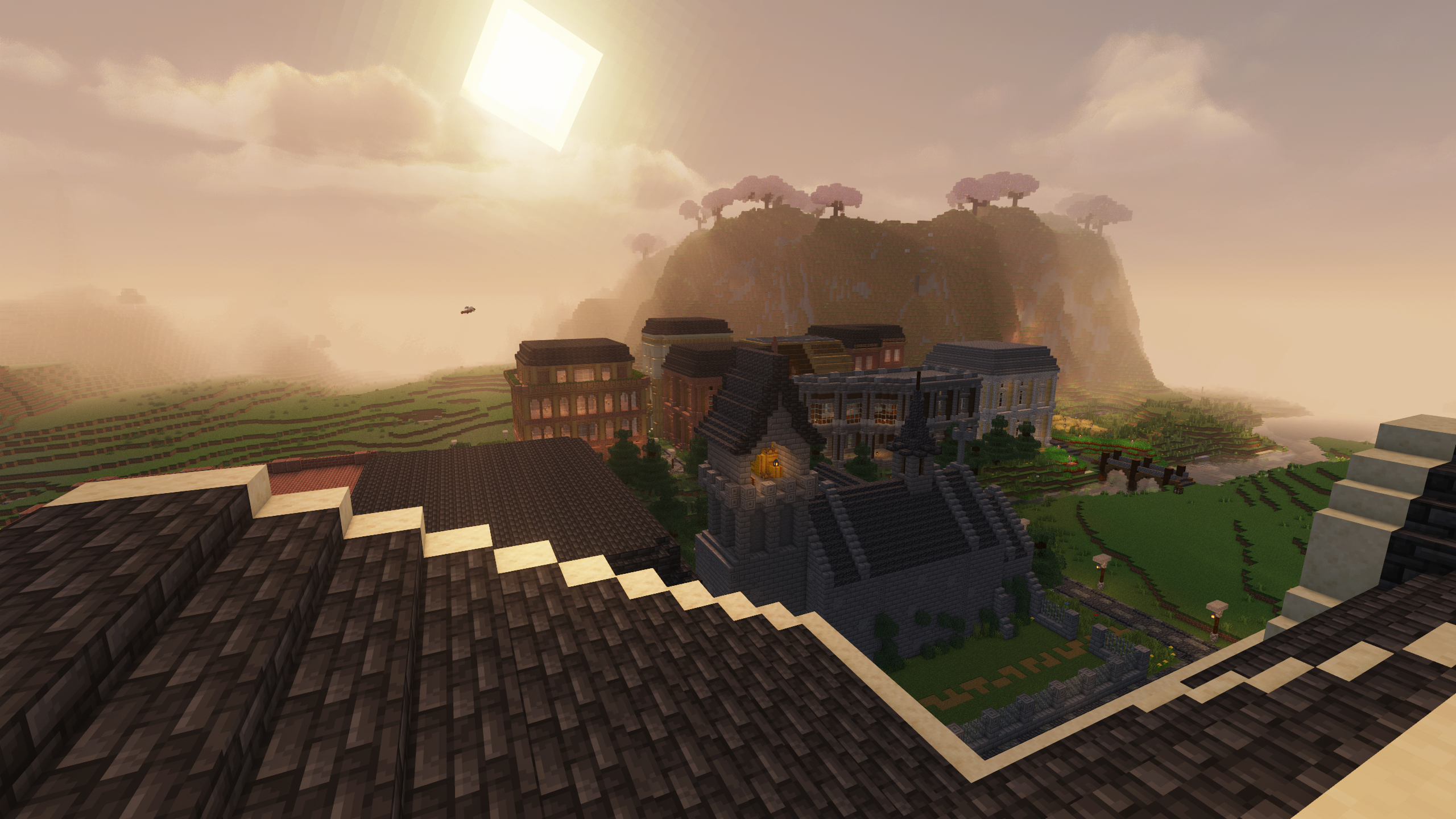 Photo du serveur