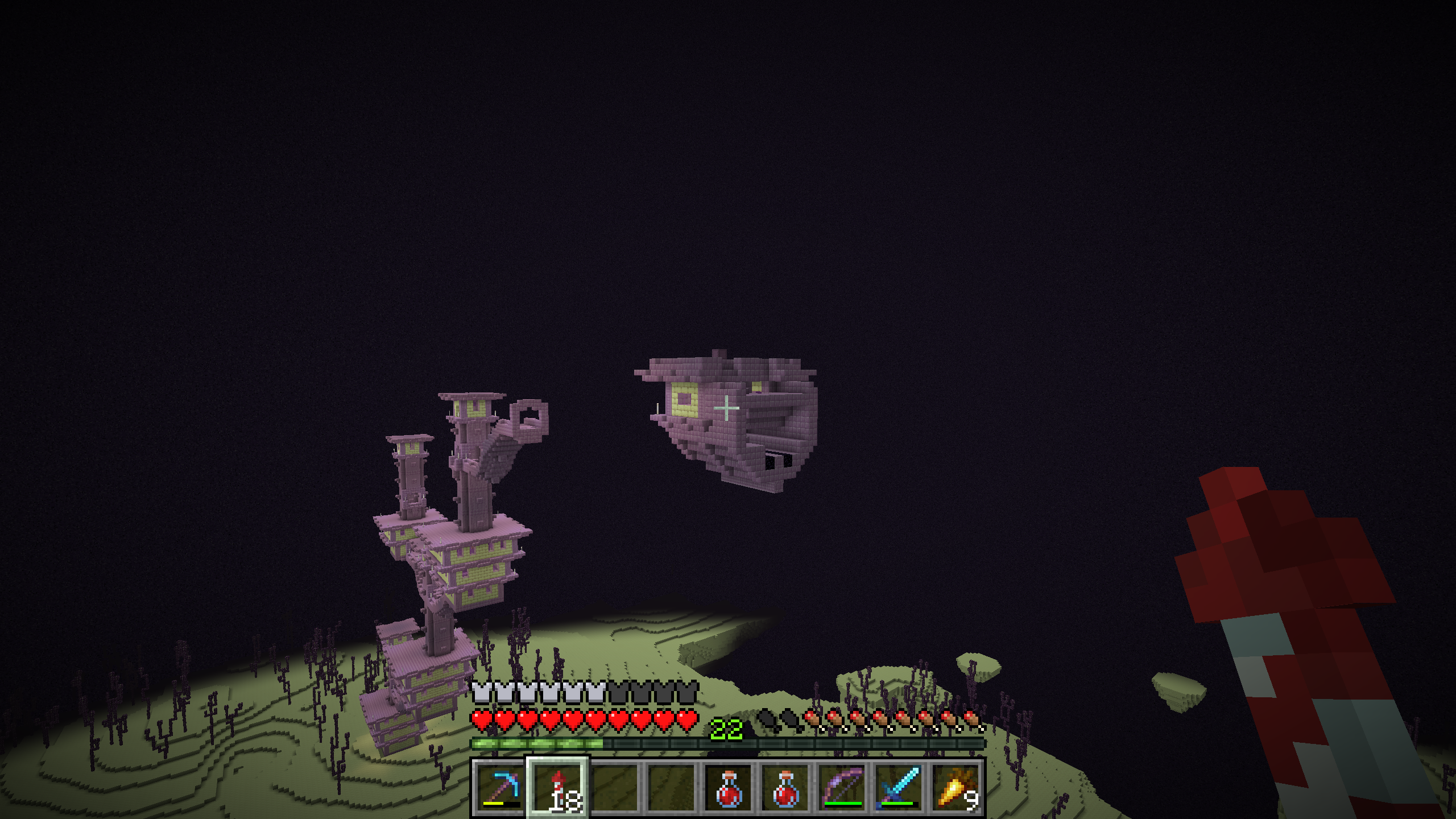 Photo du serveur