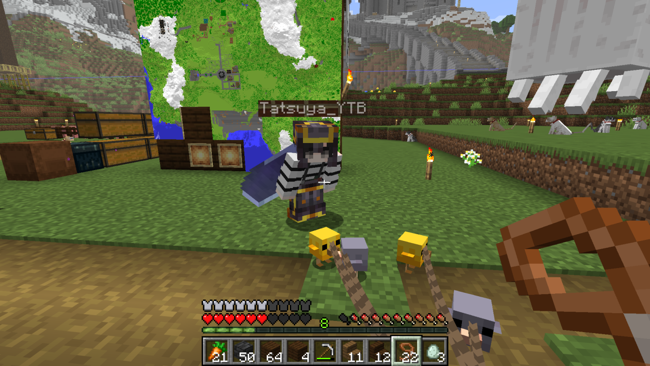Photo du serveur