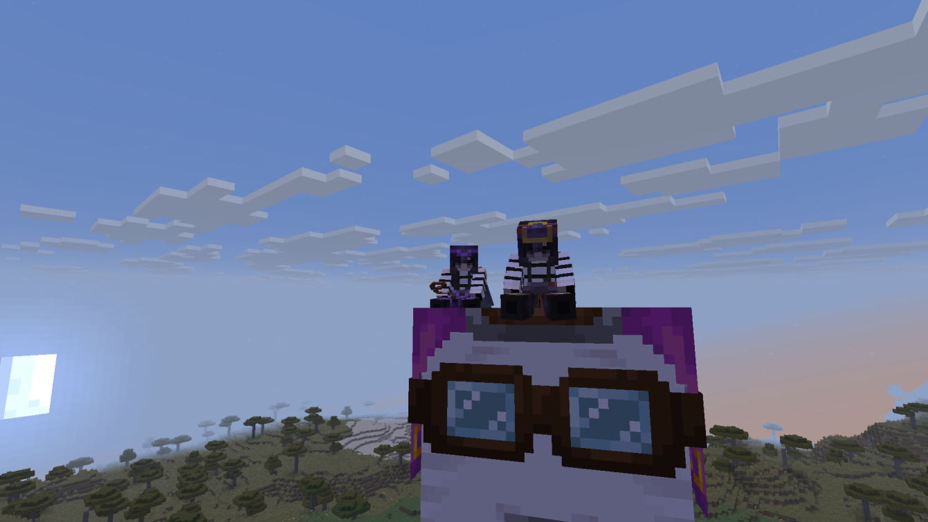 Photo du serveur