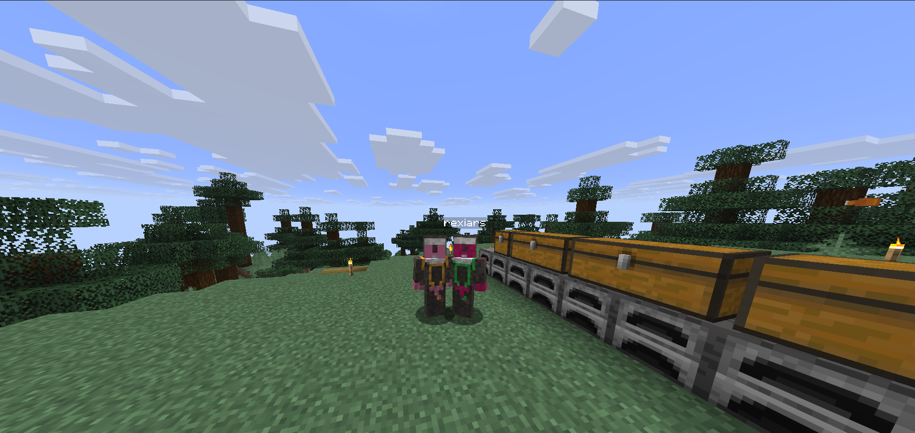Photo du serveur