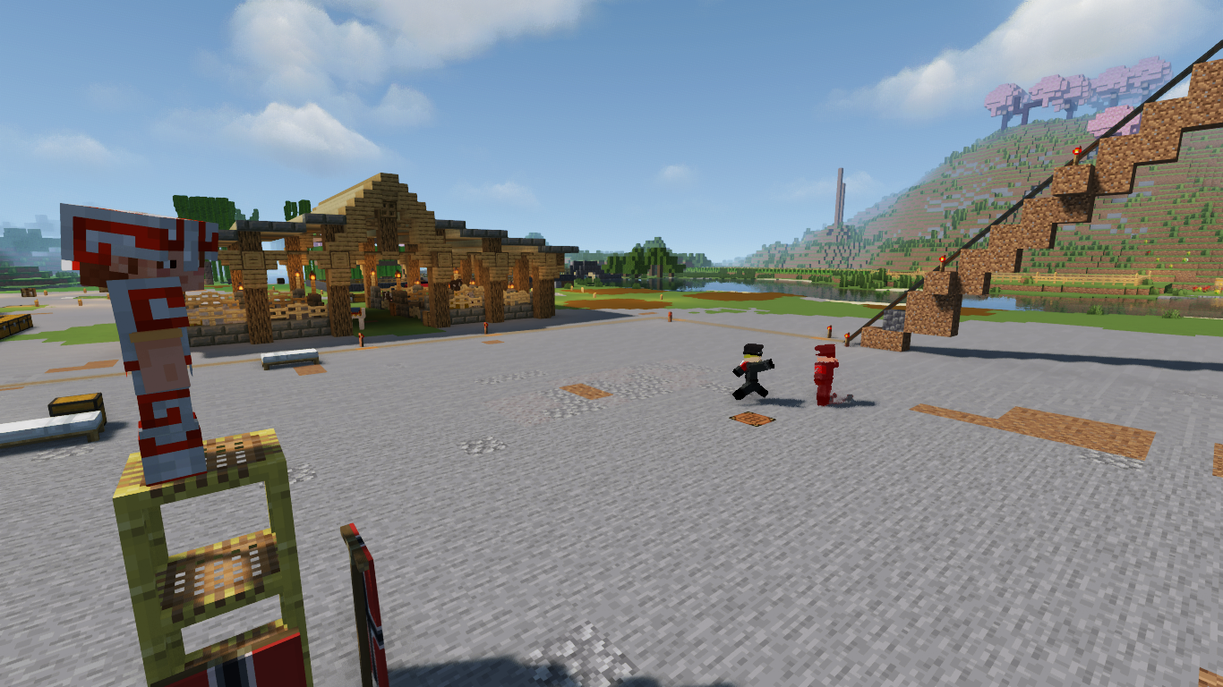 Photo du serveur